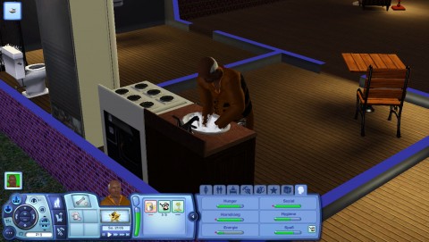 Sims 3